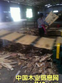 ��ľ�ΰ��Ԕ��(x��)��B