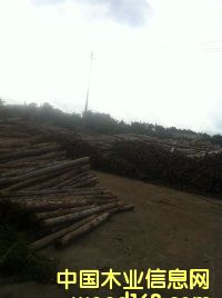 ��ľ��Ƭ��Ԕ��(x��)��B