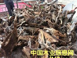 �°�ë�����l(f��)��Ԕ����B