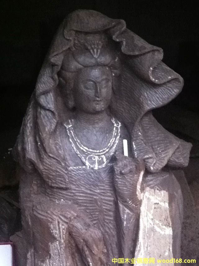 烏木的詳細介紹