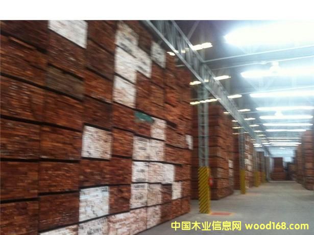 �����tľ��Ԕ��(x��)��B