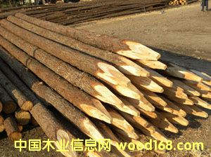 ɼľ�������阶���ӵ�����Ԕ��(x��)��B