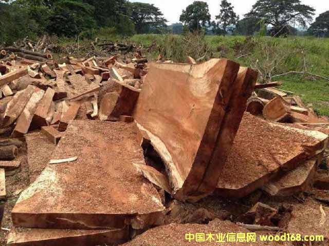 ī��������Ԕ��(x��)��B