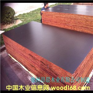 ����帲Ĥ���Ԕ��(x��)��B