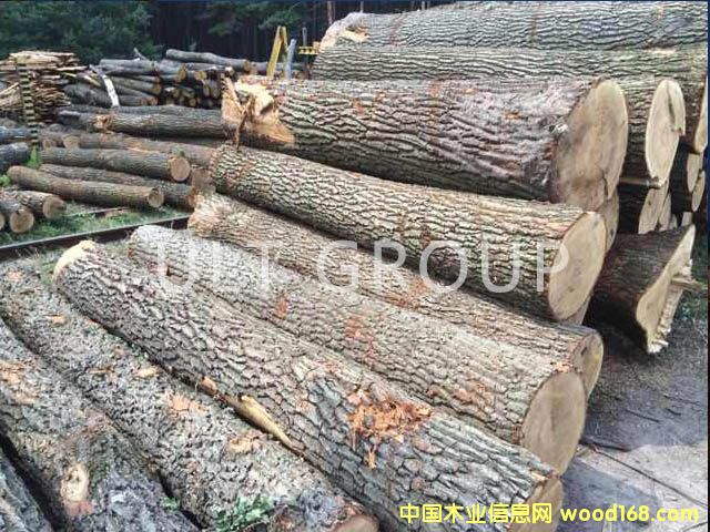 ����ԭľ��Ԕ��(x��)��B