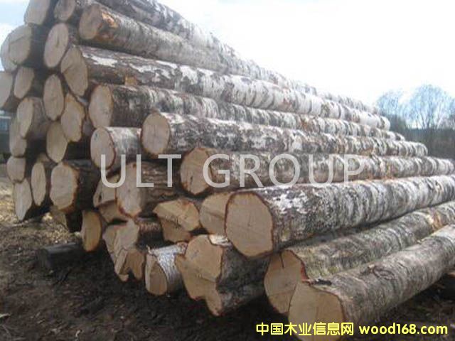 ��ľԭľ��Ԕ��(x��)��B