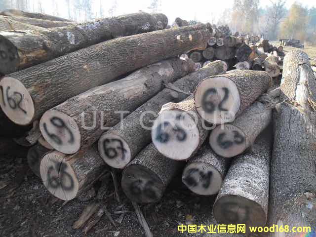 Ӳ��ԭľ��Ԕ��(x��)��B