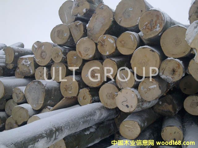 ��ľԭľ��Ԕ��(x��)��B