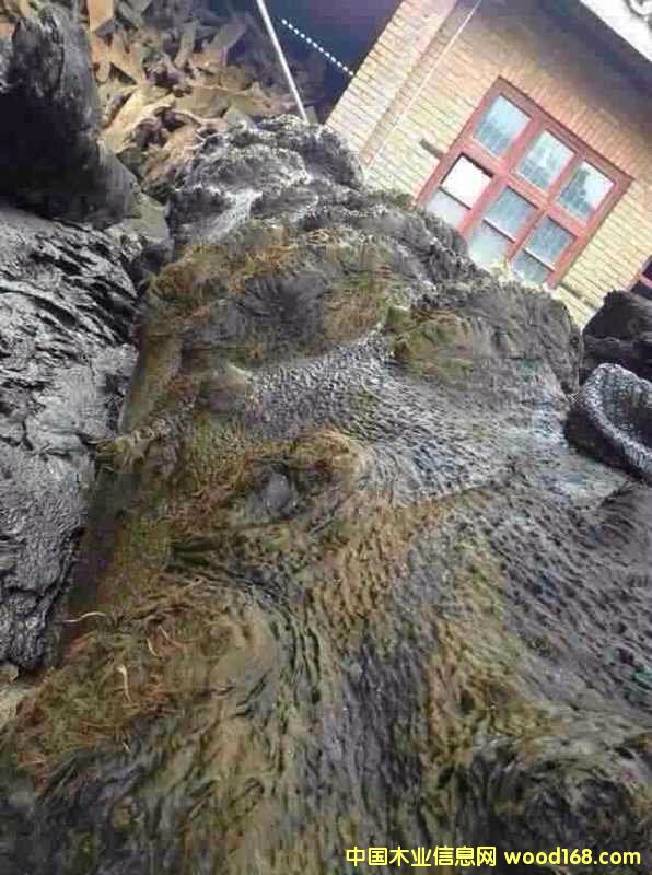 �c���鿴��z骞�ľ�Ŵ�DƬ