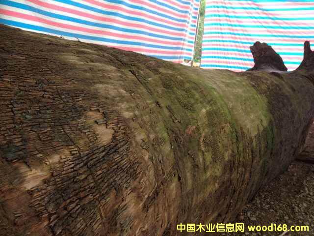 �c���鿴���۽�z骴��ľ�Ŵ�DƬ