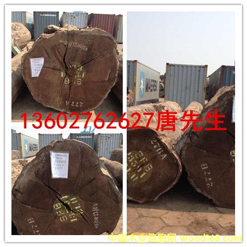 ������ľ����Ԕ��(x��)��B