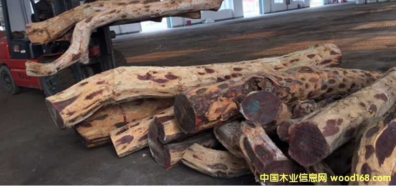 Ⱦ����̴��Ԕ��(x��)��B