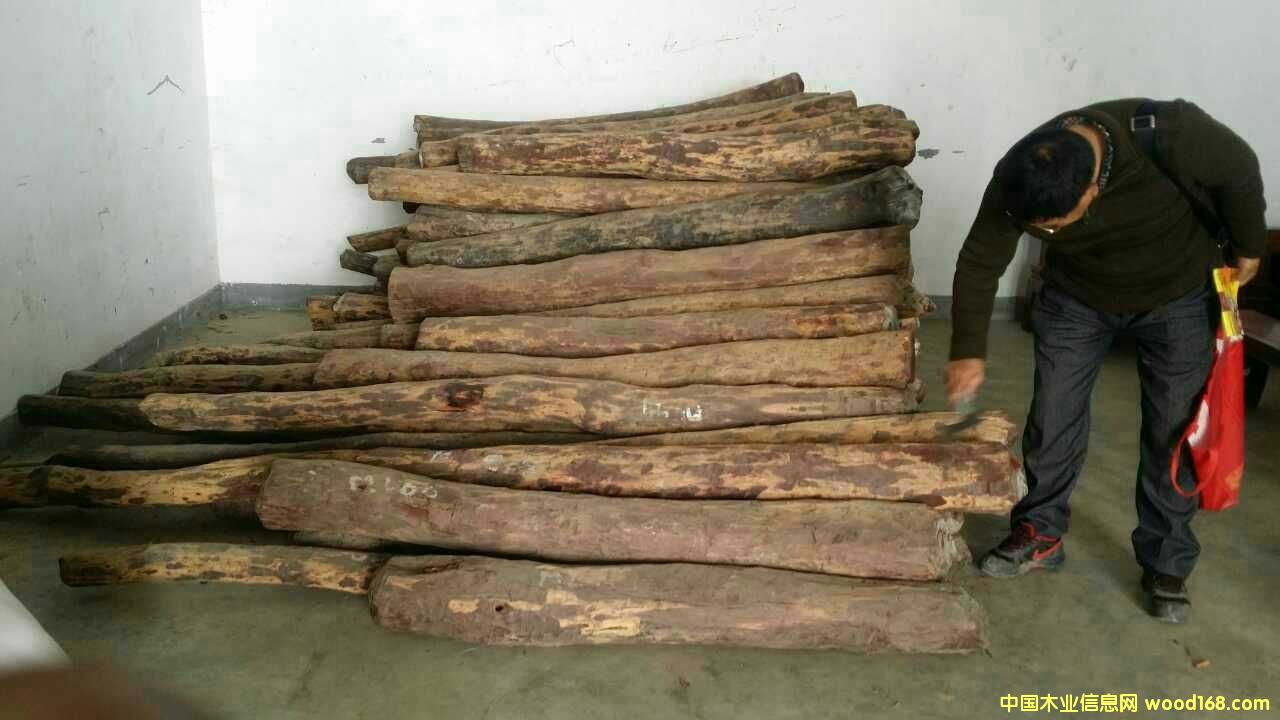 С�~��̴��Ԕ����B