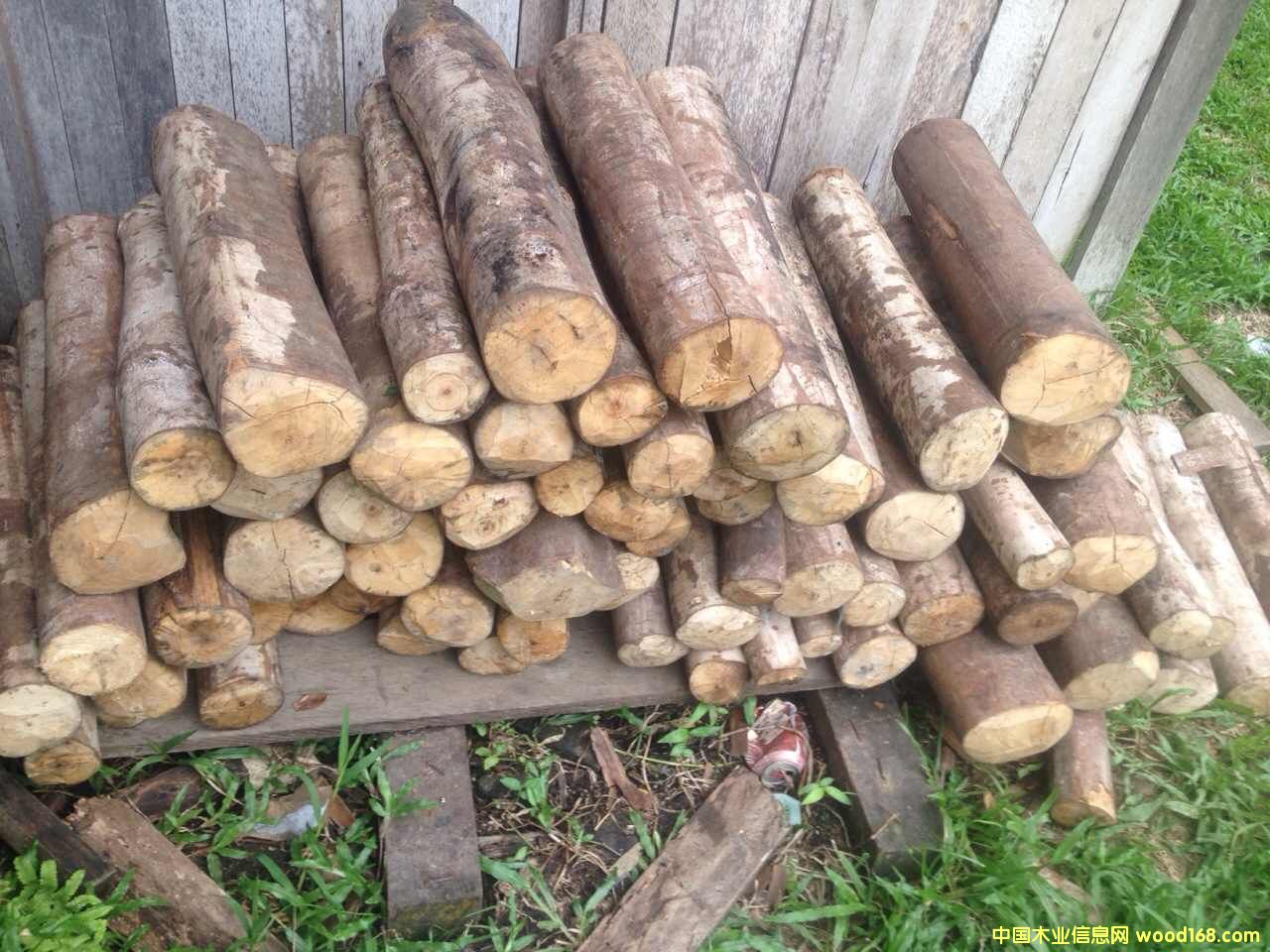 �c(di��n)���鿴��̴��ľ�Ŵ�DƬ