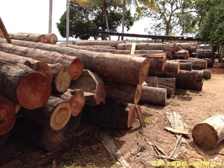 �c(di��n)���鿴�����S����ľ�Ŵ�DƬ