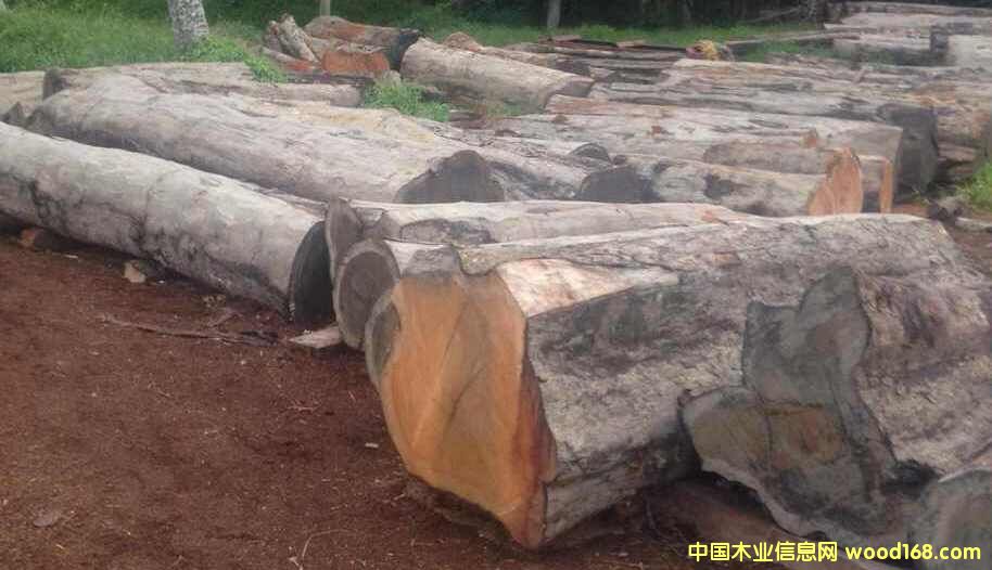 �c(di��n)���鿴�����S����ľ�Ŵ�DƬ