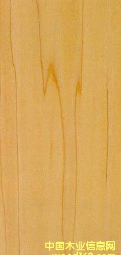 �S��ľ��Ԕ����B