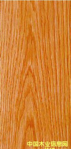 �t��ľ��Ԕ����B