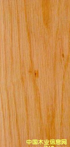 ����ľ��Ԕ����B