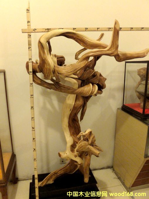 1��Ԕ����B