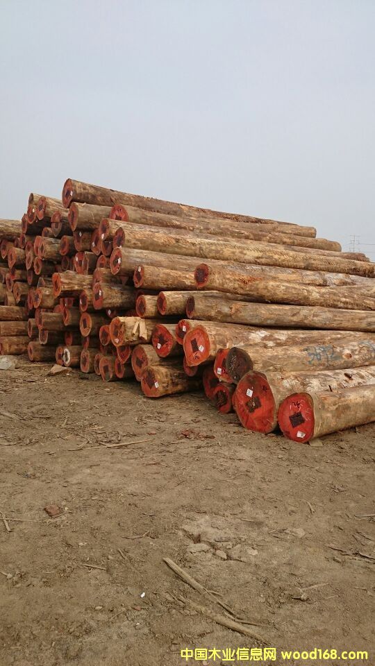 �����t����