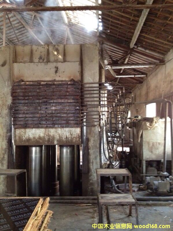 十二層竹膠 十二層竹膠