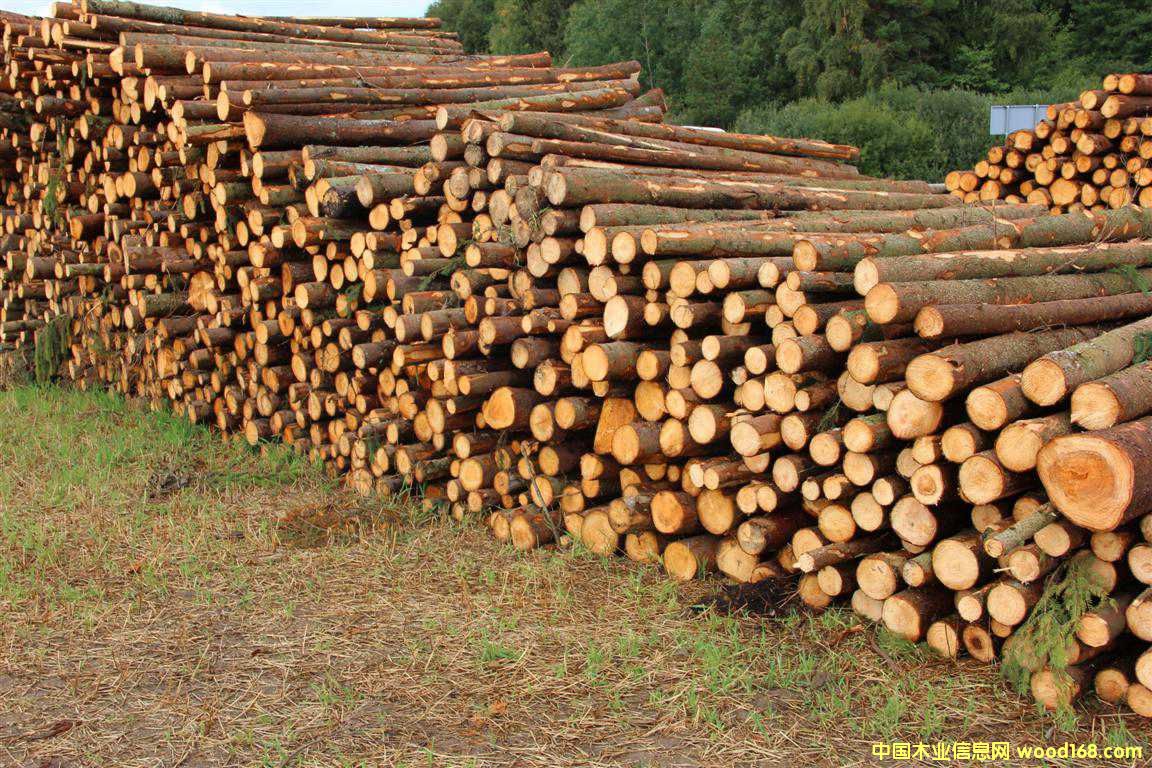 ���ɼ��{ԭľ