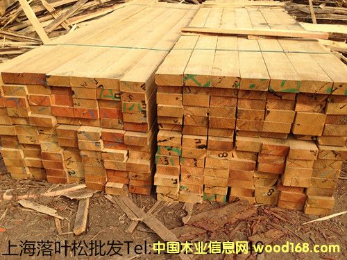 ���~�Ƀr(ji��)��