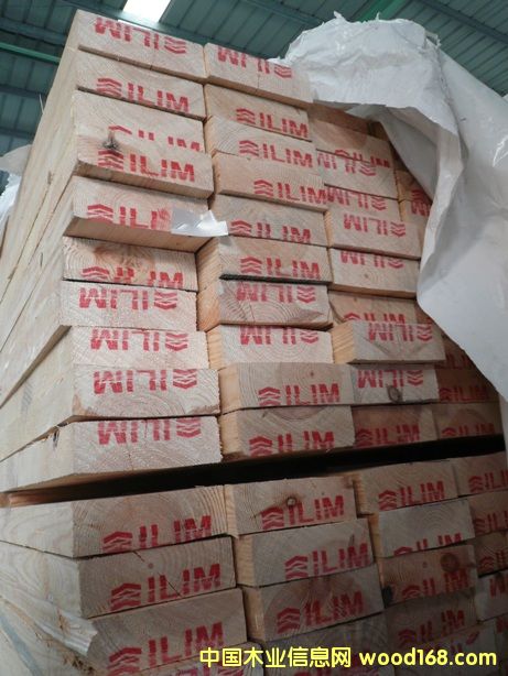 德國赤松 德國赤松