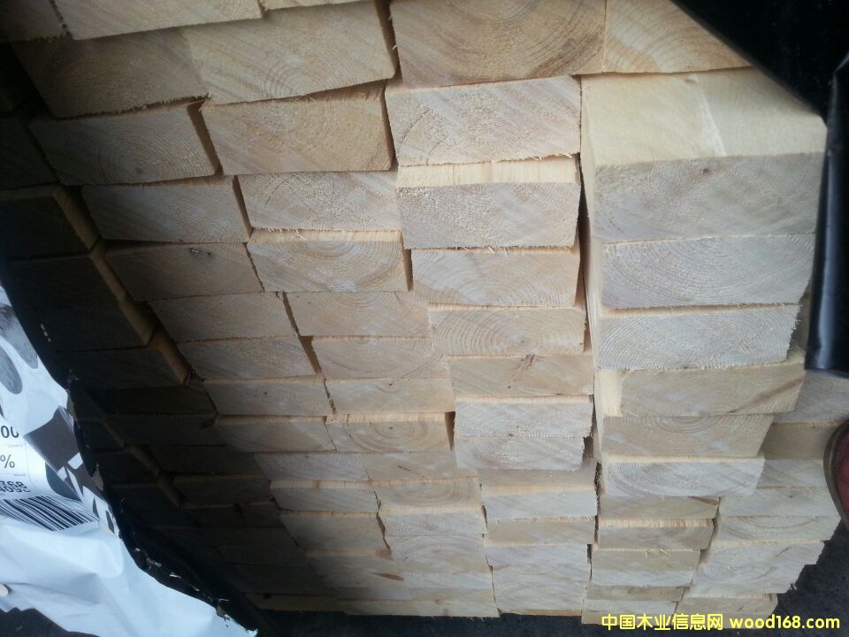 小熊爪牌俄羅斯云杉2 小熊爪牌俄羅斯云杉2