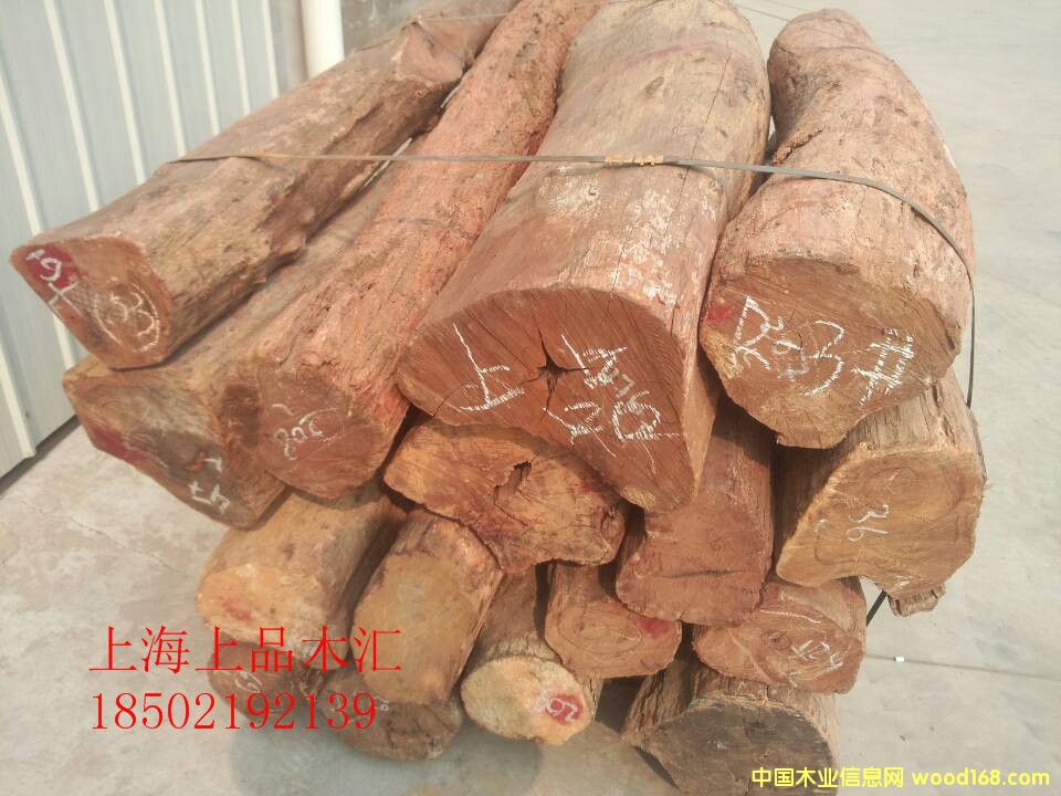 ��֦����