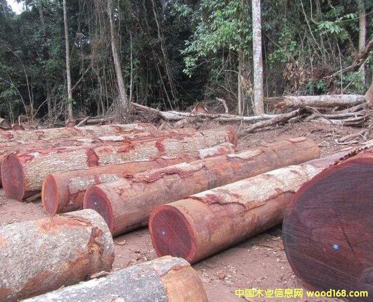 sipo��ľ�����