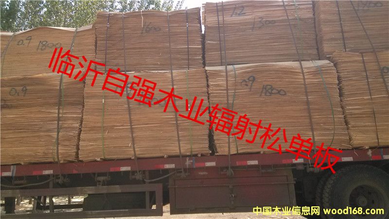 ݗ�����aƤ60�z