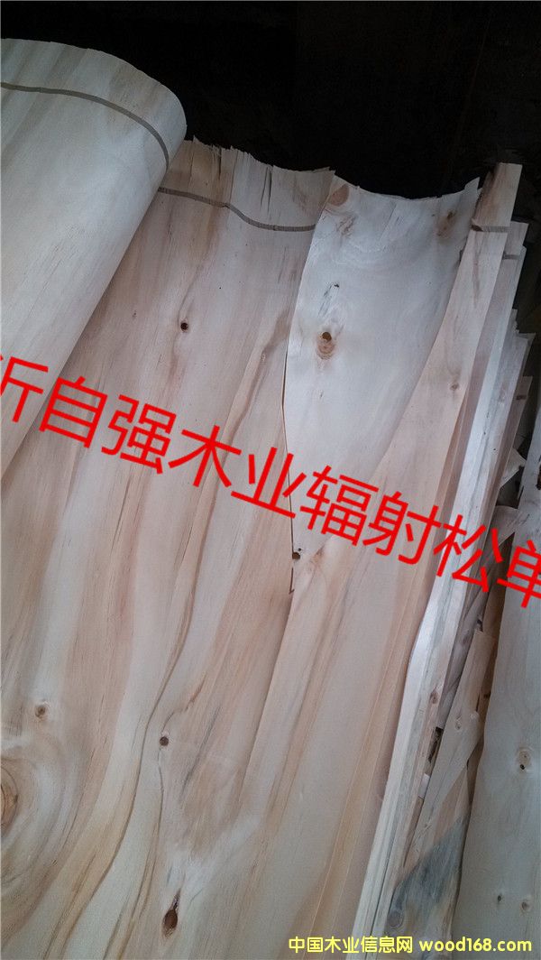 ݗ������Ƥ