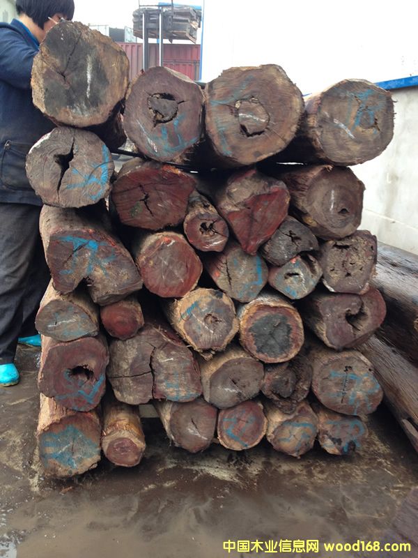 ��̴����