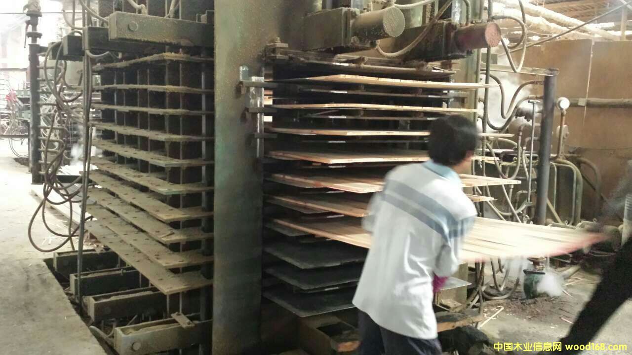 ����?zh��n)ȉ��C��8