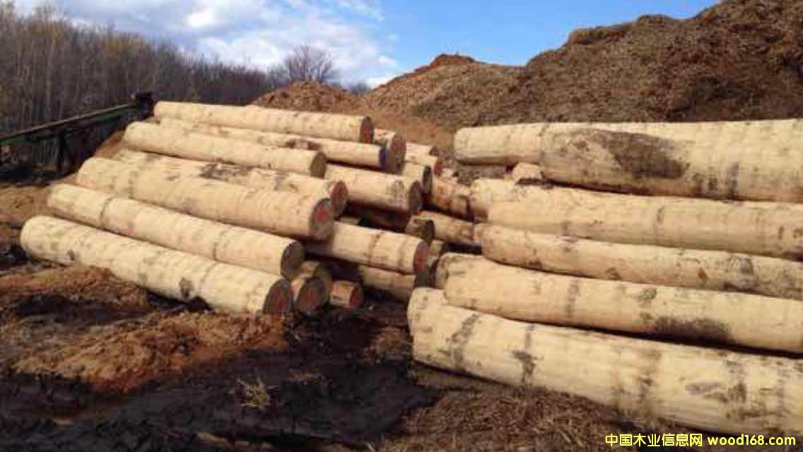 ��Ϟԭľ��Ԕ��(x��)��B