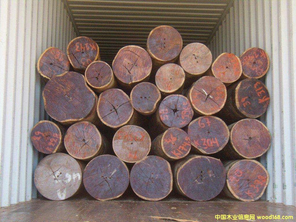 ������t̴��