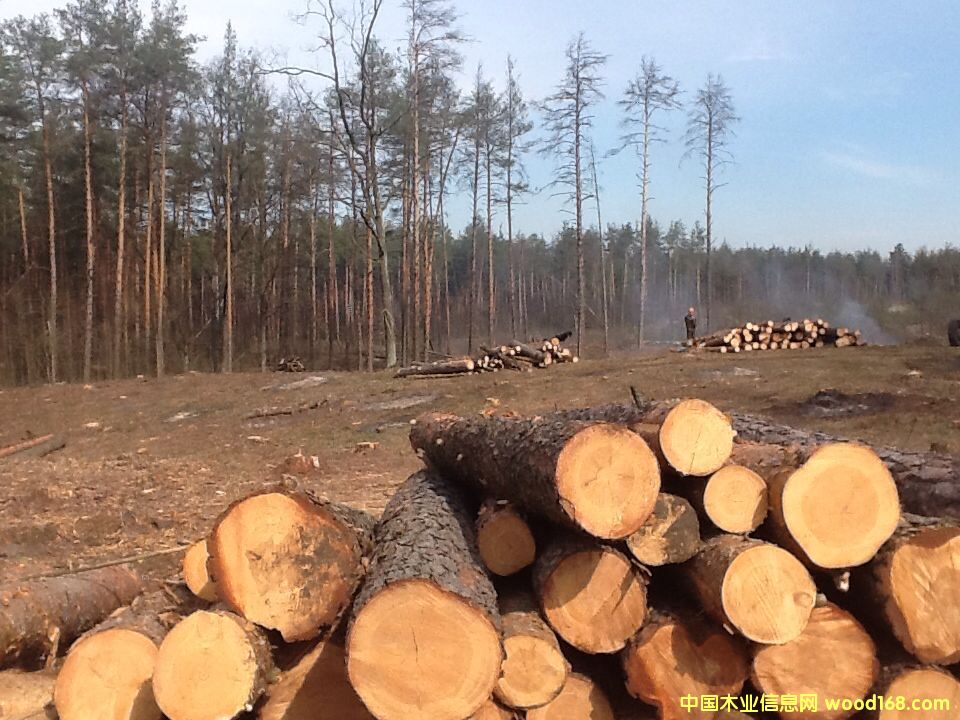 �����m��ɼ�������ɡ���ľԭľ�����