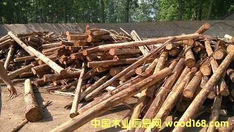 �M�����ԭľ