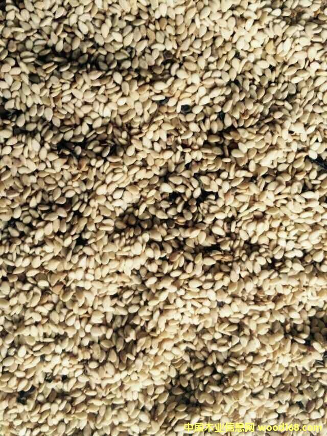 ��������֥��