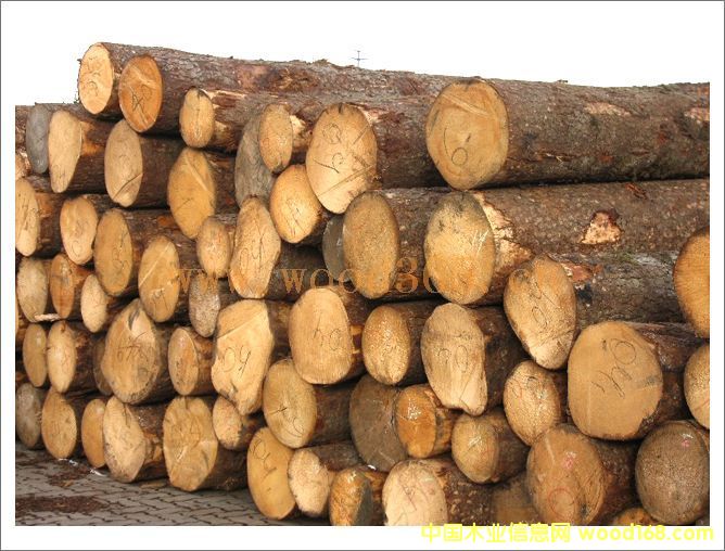 ɽ�|����ԭľ-�������_ľ�I(y��)