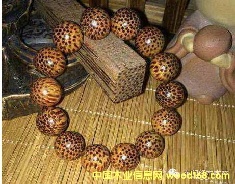 ע�⣺�������Ѫ��z��ֻ��Ҭ�Ә�