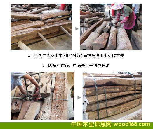 �tľԭ���Ј���ľ�Ĵ���N�۲�؈ā