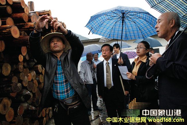 �ձ��Ѻ��L���F(tu��n)������ɽľ���N���Ј�