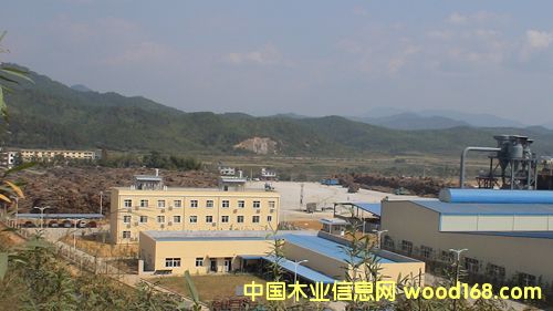 ���(y��ng)ɭ��ľ�I(y��)