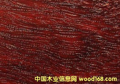 金星并不是小葉紫檀獨有的標準