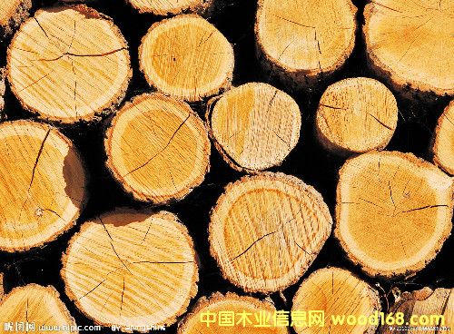 ����ľ�Ľ����Ј�