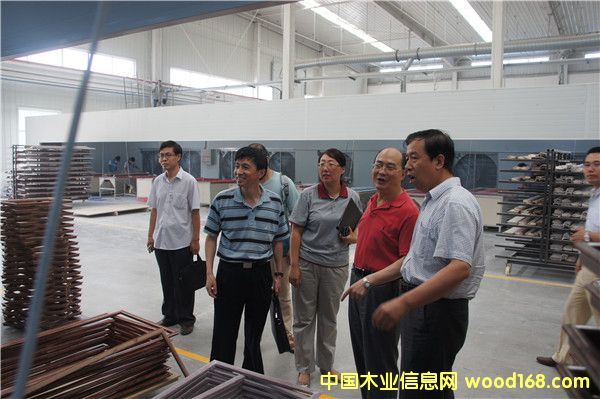 �����Lһ�Ѕ��^����ɭ�������ĺӱ�ľ�T���a(ch��n)����