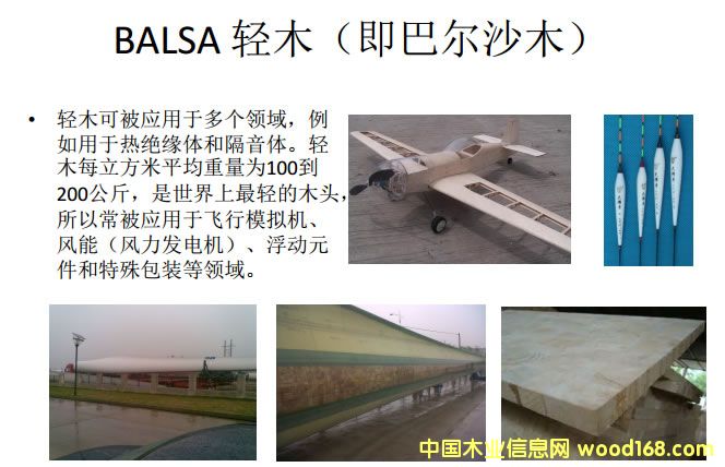 BALSA �pľ�����͠�ɳľ������;